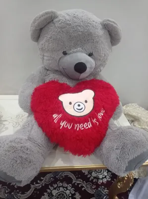 ayiq teddy sotiladi kelishtirib beriladi srochno 1