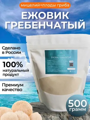 Грибы Ежовик гребенчатый 1