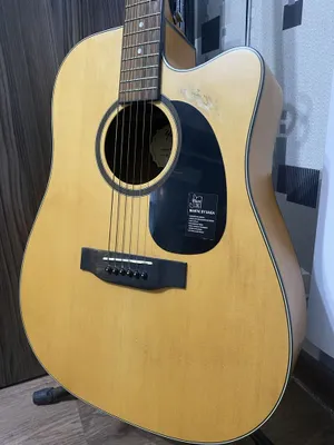 Saga tomonidan ishlab chiqarilgan kuchli elektroakustik gitara 1