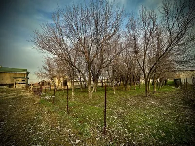 Arzon yer toshken viloyati nurafshon shaxar 16sotih 1