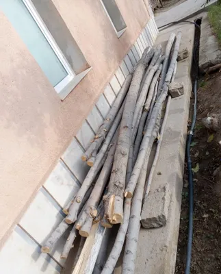 Продаются брёвна, цена указана за всё 1