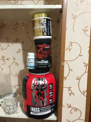 sport ozuqasi 1