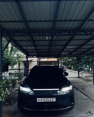 Leapmotor c11 Performance AWD 544hp 1
