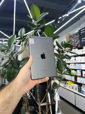 iPad mini 5 1