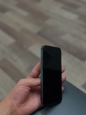13 pro 1