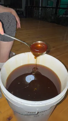🍯 НОВАЯ ПАРТИЯ МЁДА! 🏔️ 1