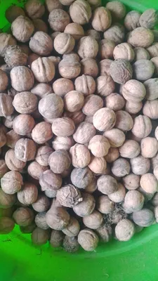 yongʻoq sotiladi 1