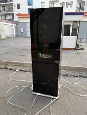 ZIFFLER 409 BG 1