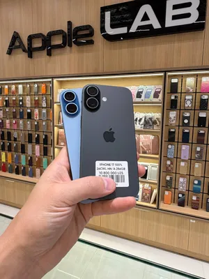iPhone 17