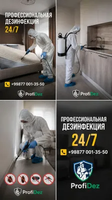 Professional Dezinfeksiya Xizmati
