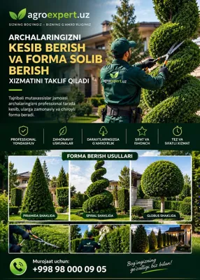 Archa kesish | Daraxt kesish | Bog’bonlik xizmati
