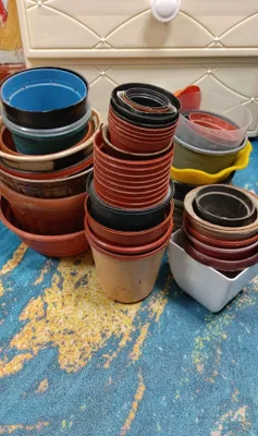 Gullar uchun arzon, ishlatilgan tuvaklar 1