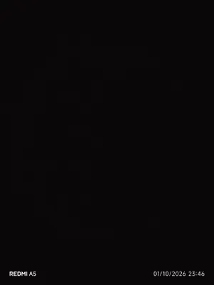 bxjf