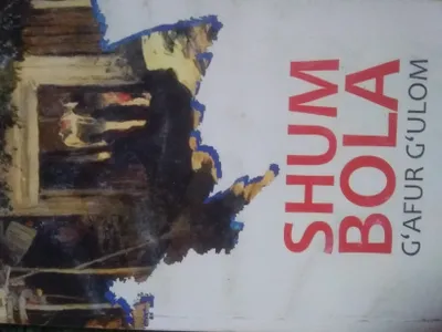 Shum bola kitobi