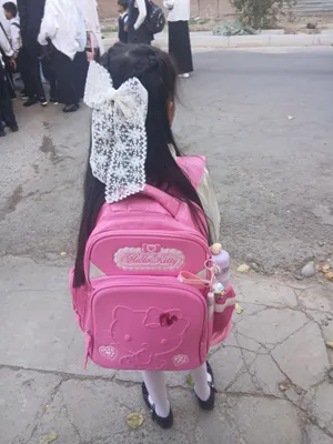 Сумка для школы 1