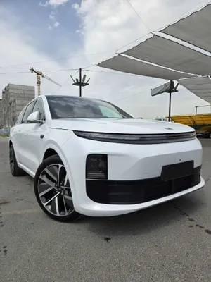 Li 6 Pro доставляется под заказ 1
