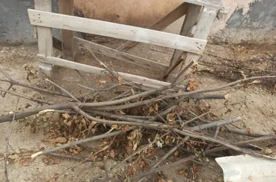 Бесплатно заберём дрова 1