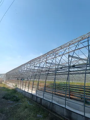 Теплица срочно продаётся 1