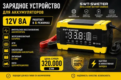 Teyes by зарядное устройство для аккамуляторов 12w 8A Импульсный