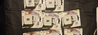 256 GB microSD flesh-kartalari 1
