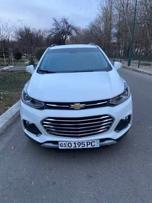 Tacker1 2019yil oq 1