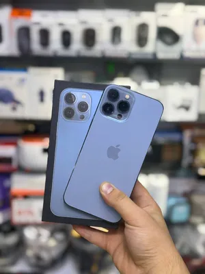iPhone 13 Pro Max