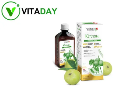 Vitauct Yuglon qora yong‘oq, 350 ml 1