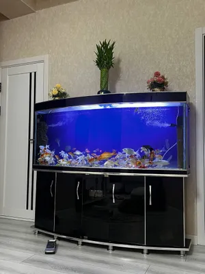 Продаётся аквариум
