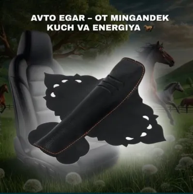 Avto egar - shafyorlar uchun 1