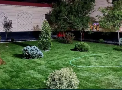 Услуги по ландшафту и газонам 1