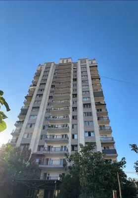 Yangihayot, 8 ҳудуд 3/14/16 79м² 1