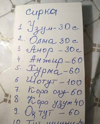 Годовалые овцы
