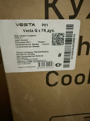 Газовая плита и вытяжка Artel 3
