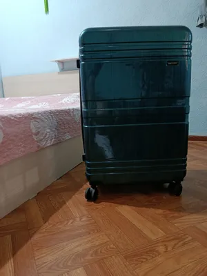 Koreyadan keltirilgan katta chamadon 1