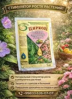 Циркон — натуральный стимулятор роста и укрепитель иммунитета. Sirkon