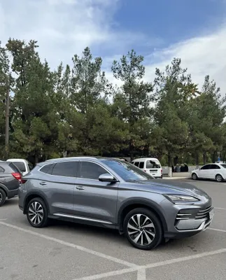 Byd Chempion 2024 1