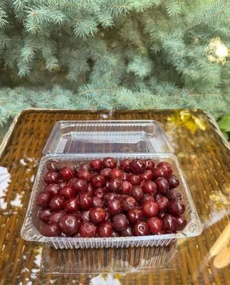 Олча музлатилган | Вишня замороженная | Frozen cherry Olcha - Shpanka 1