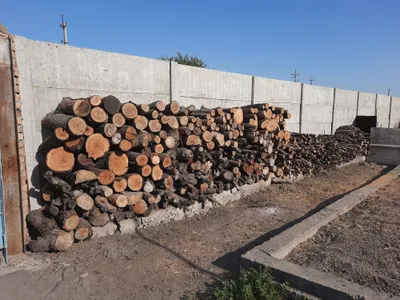 Продам дрова фруктовые 1
