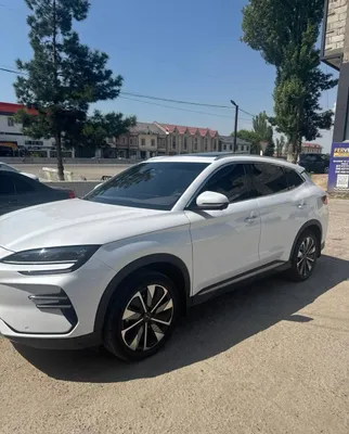 Byd chempion 2024/25 1