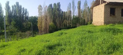 Срочно продаётся участок в Паркентском районе, махалле Бостон 1