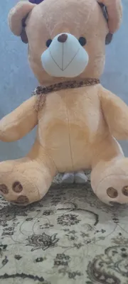 MISHKALAR SOTUVDA 1