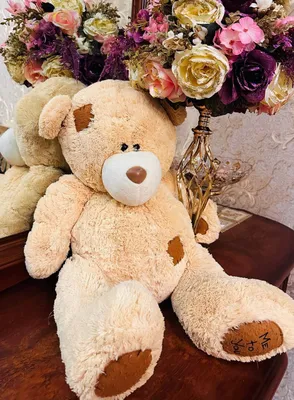 Erim uchun erotik fotosuratlar (shaxsiy fotosurat) Mini shortilarda yalangoch surat