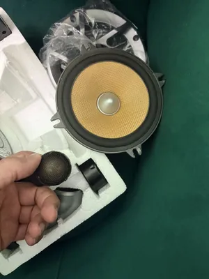 Pioneer TS-C130R 1