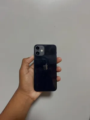 iPhone 12 mini 1