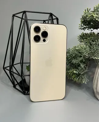 iPhone 12 Pro Max Gold Tozzasi 1