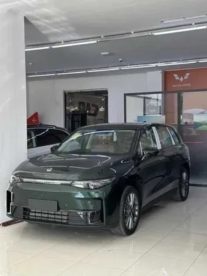 Leapmotor C11 Hamma pozitsiyasi bor 1