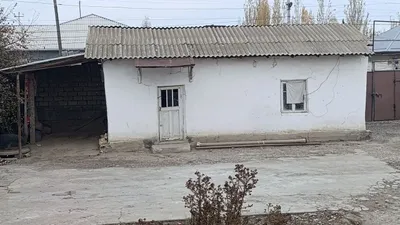 Yer uchaska 2 honasiham bor 1