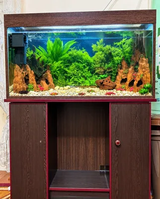 Продаётся аквариум на 250 л 1
