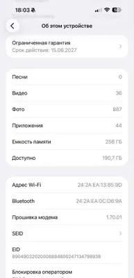 iPhone 17 Pro Max 1