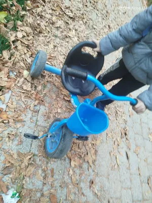 velosiped 1